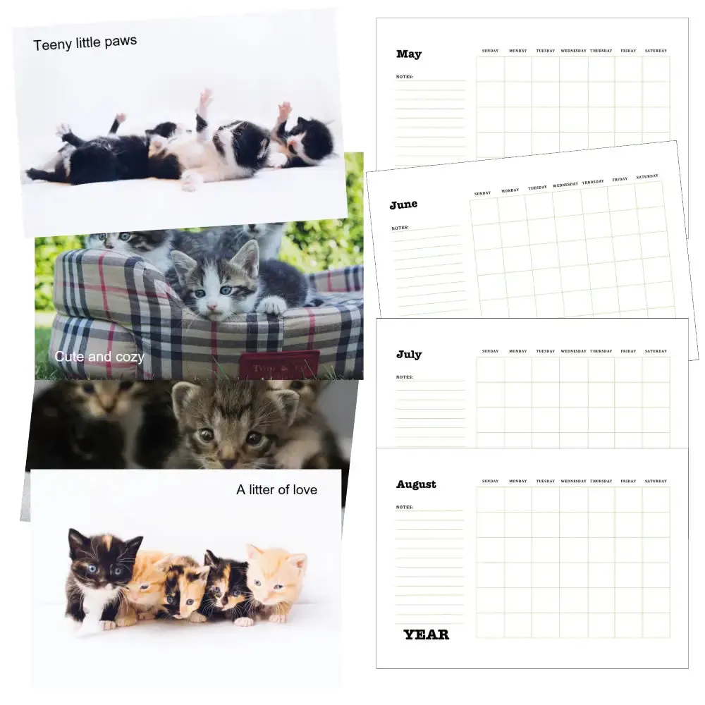 Adorable Kittens Calendar PLR