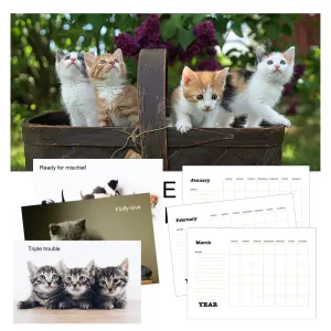 Adorable Kittens Calendar PLR