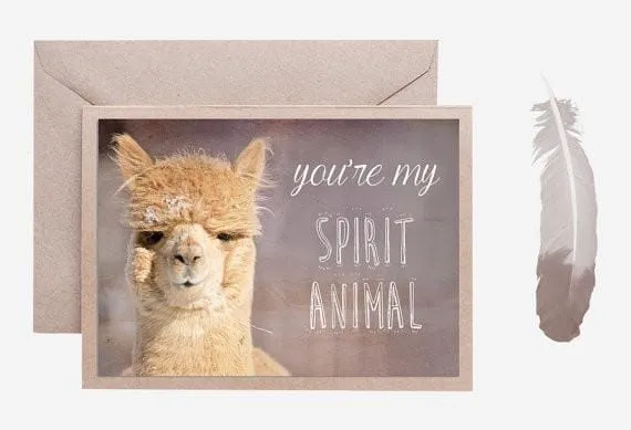 Alpaca Greeting Card - You're my Spirit Animal