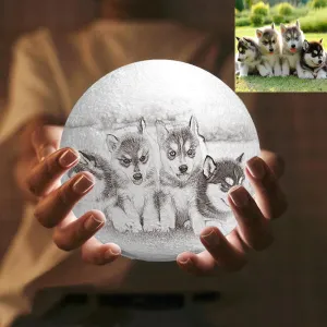 Custom Moon Lamp With Pet Photo - Personalized Engraved 3D Printing Light - Wedding Gifts