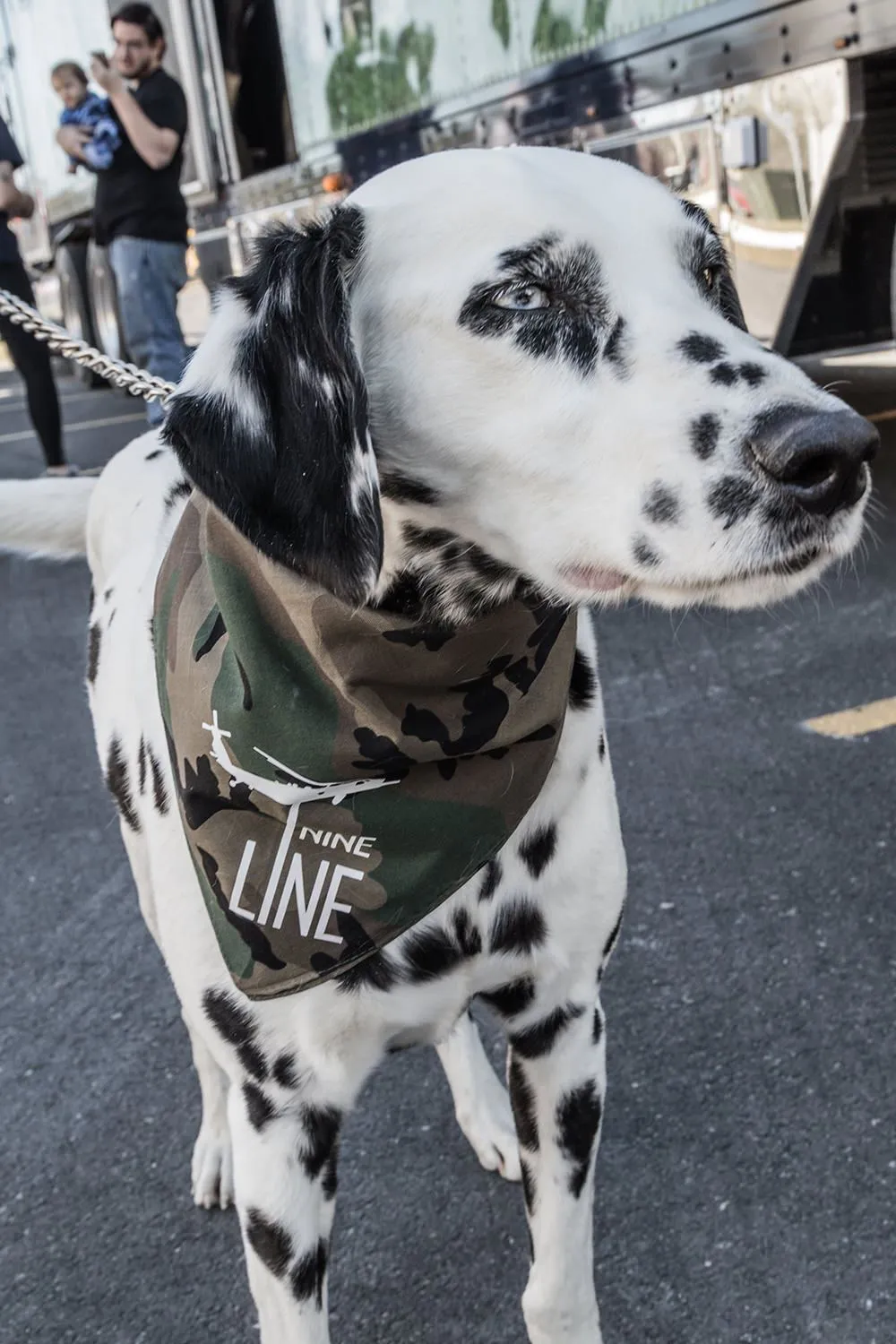 Dropline Dog Bandana