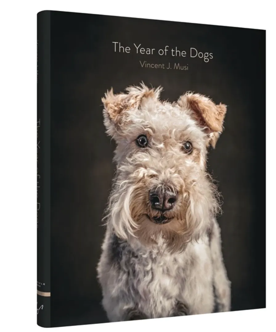 The Year of the Dogs